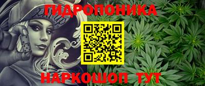 круглые Бийск