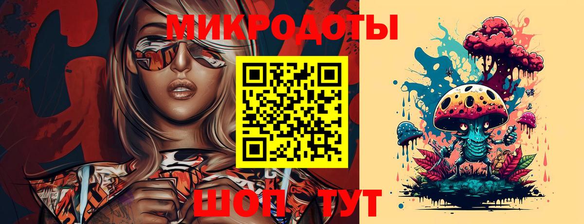 Псилоцибиновые грибы Psilocybine cubensis  Вход с VPN  Кимовск  Псилоцибиновые грибы Psilocybe 