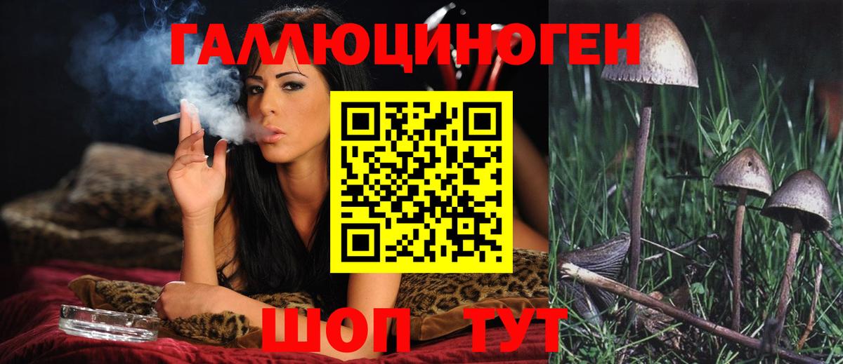 Галлюциногенные грибы Psilocybe Кимовск