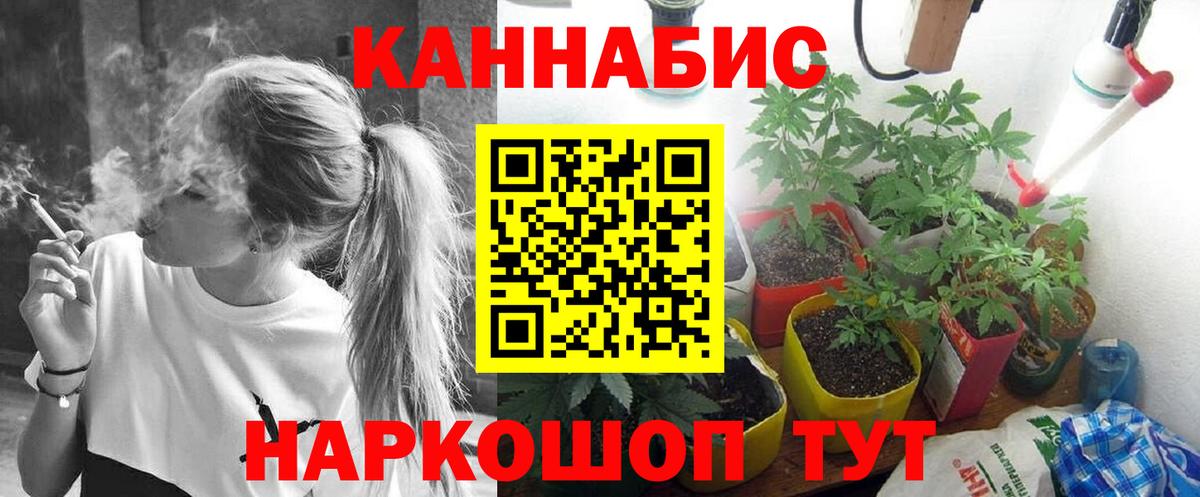 Бошки Шишки Amnesia Кимовск